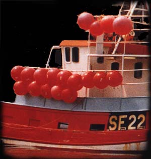 bou3.jpg (24732 bytes)